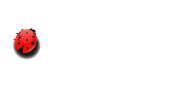 facebook button