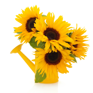 flower bucket
